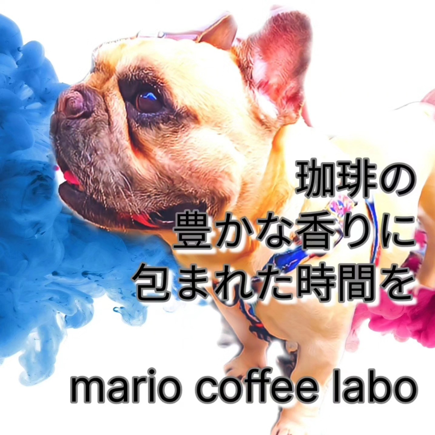 mario coffee labo