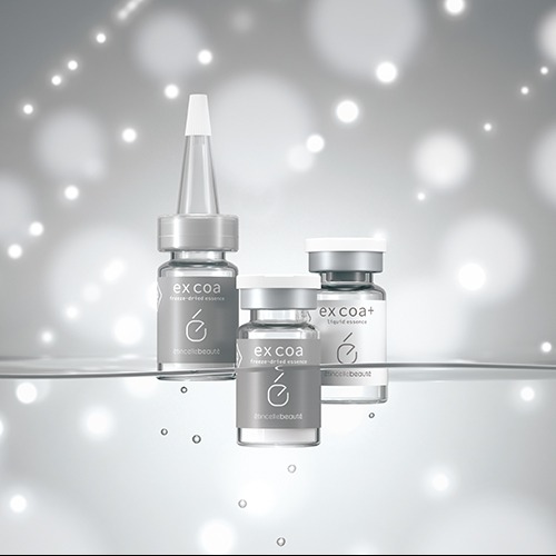 エタンセルボーテ　化粧品セット エクソソーム化粧品｜アンチエイジング効果と安全性「エタンセルボーテ」