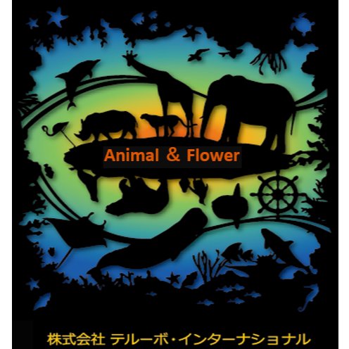 Teru-bo International 