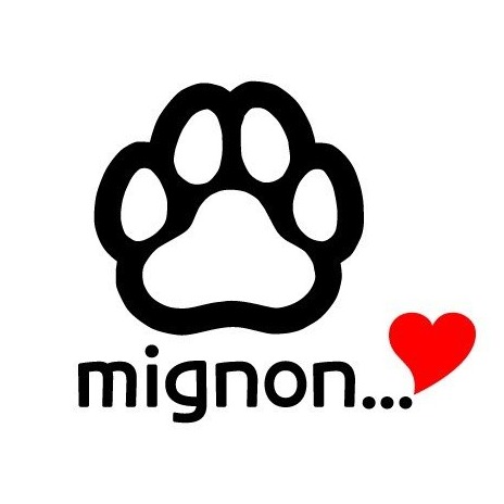 mignon-dog