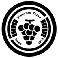 Vineyard TAMA