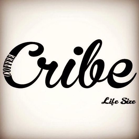 Life Size Cribe