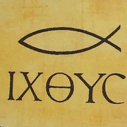 オリーブ石鹸販売 イクスス